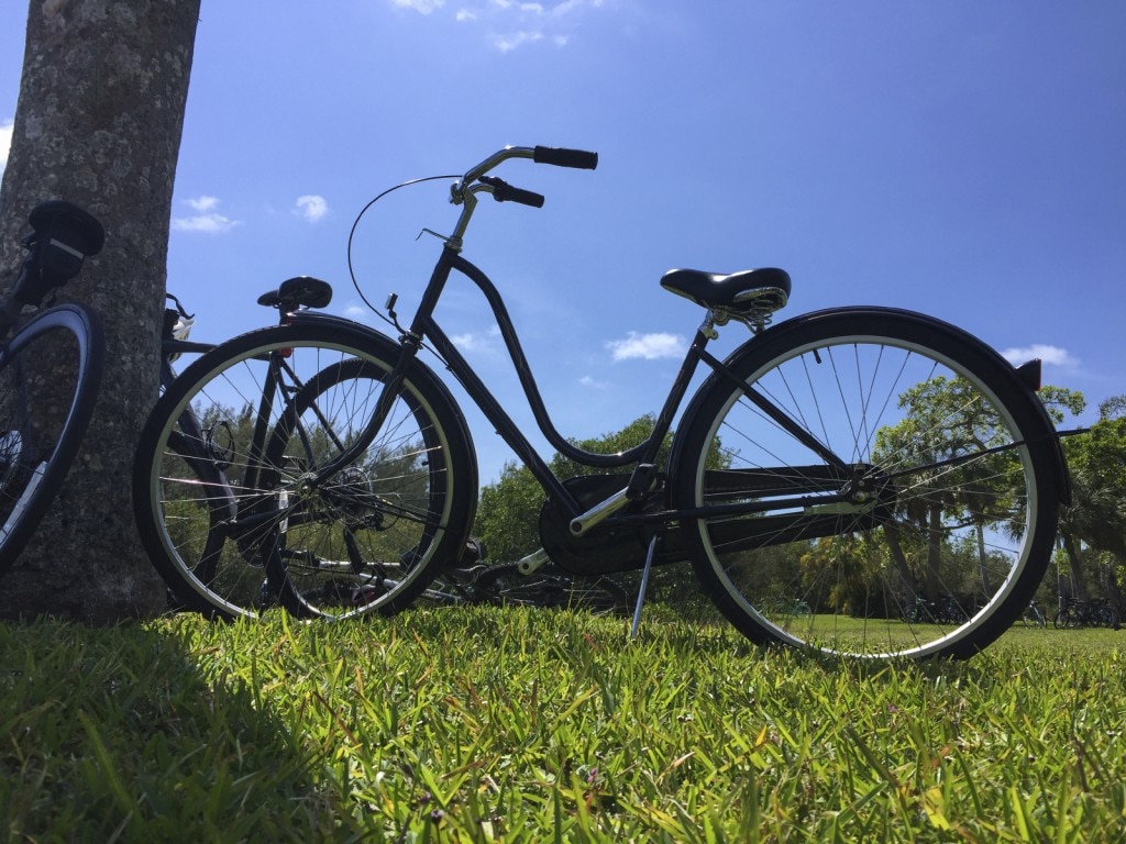 Faites du vélo dans l'herbe à côté de l'arbre
