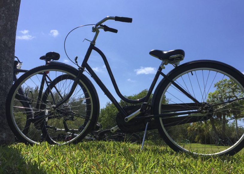 Faites du vélo dans l'herbe à côté de l'arbre